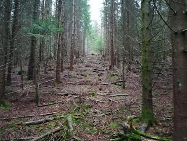 Terrain vente à Ussel, Saint-exupéry-les-roches