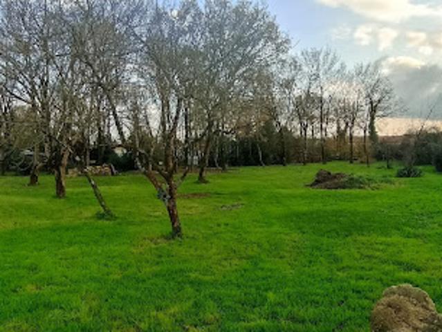 Terrain vente à Le Petit Châtelier, Avrillé