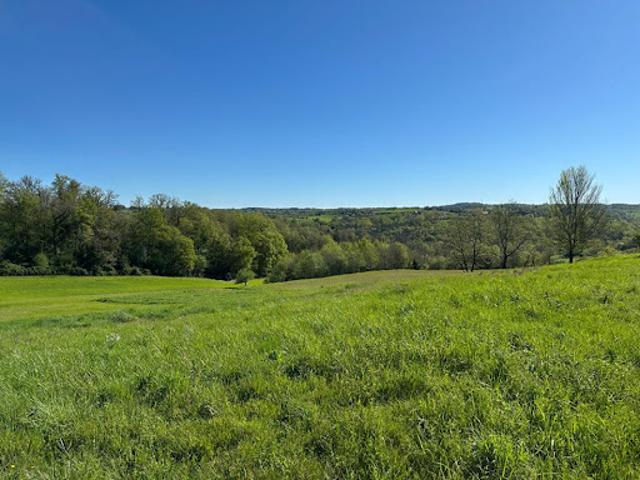 Terrain vente à Le Bourg, Corgnac-sur-l'Isle