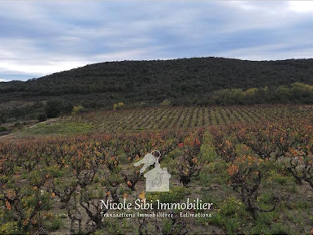Terrain vente à Prades, Lansac