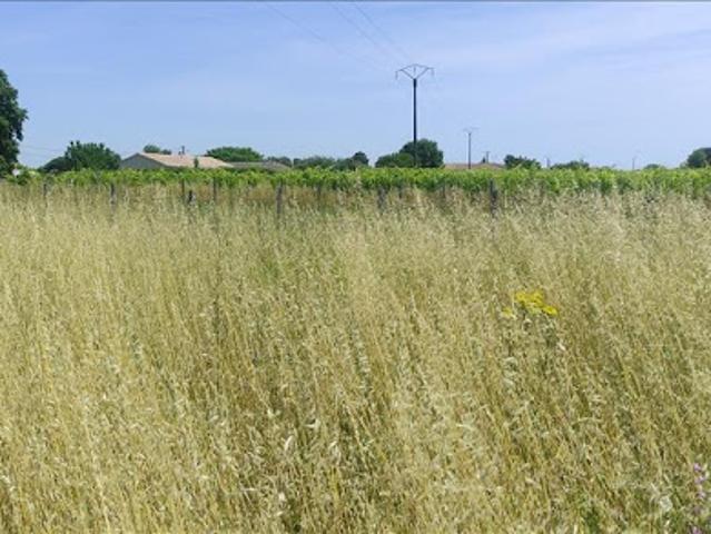 Terrain vente à Saint-même-les-carrières, Chez Debat