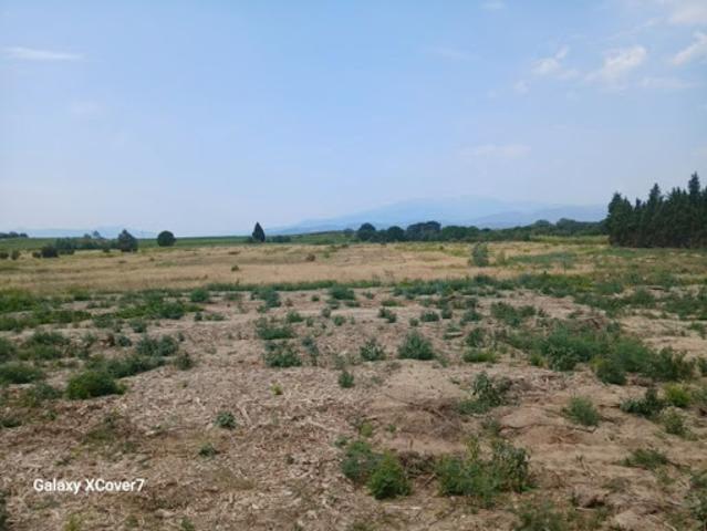 Terrain vente à Céret, Villemolaque