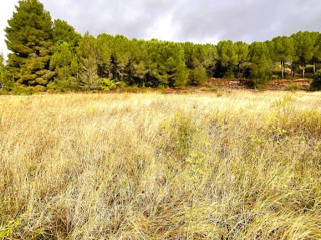 Terrain vente à La Digne-d'Amont, Aude