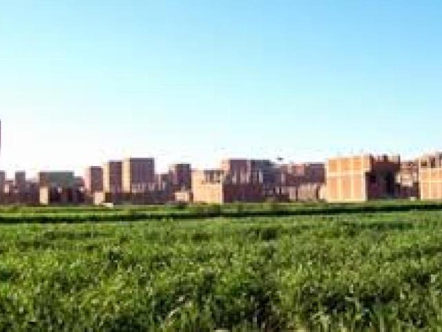 Terrain vente à Témara, Rabat-Salé-Zemmour-Zaër