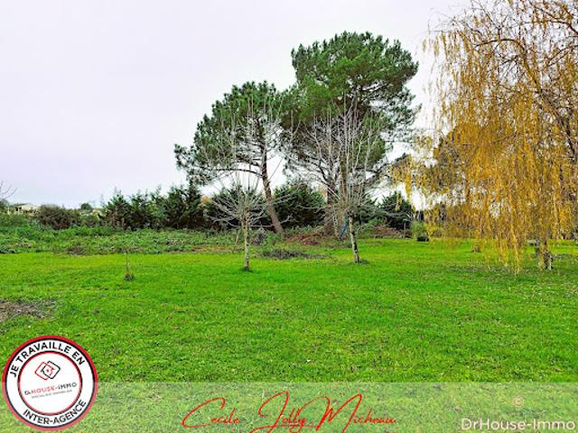 Terrain vente à Blaye, Cartelègue