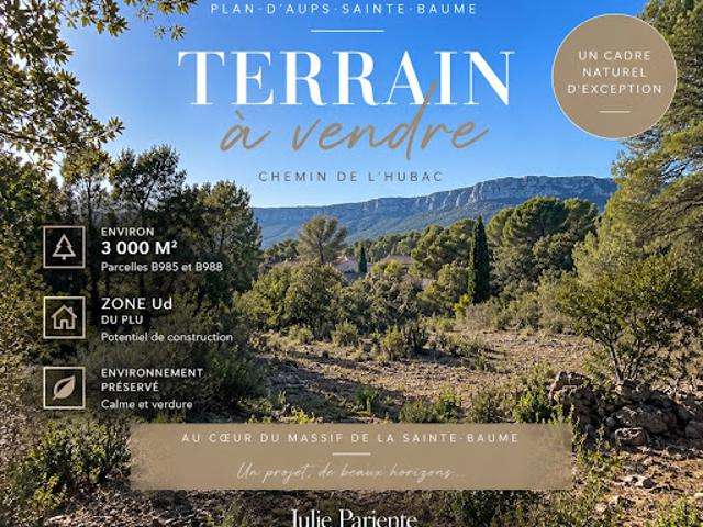 Terrain vente à Brignoles, Plan-d'aups-sainte-baume