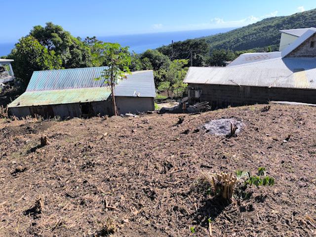 Terrain vente à La Réunion