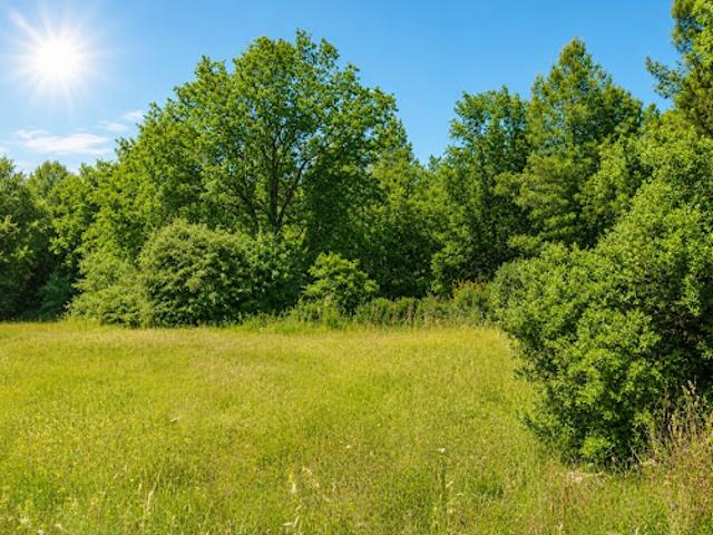 Terrain vente à Arrondissement de Draguignan, Lorgues