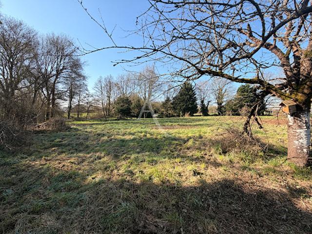 Terrain vente à Châteaubriant-Ancenis, Treffieux