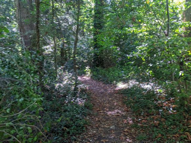 Terrain vente à Rambouillet, Les Essarts-le-roi