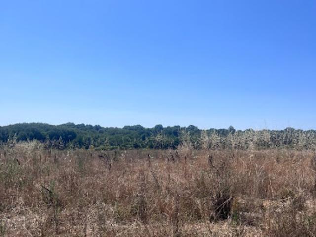 Terrain vente à France métropolitaine, Saint-augustin