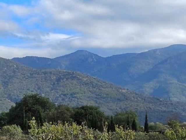 Terrain vente à Céret, Villelongue-dels-monts