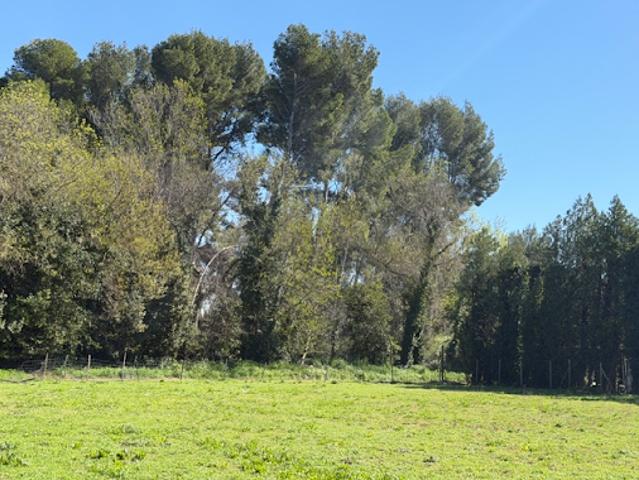 Terrain vente à Arles, Maussane-les-alpilles