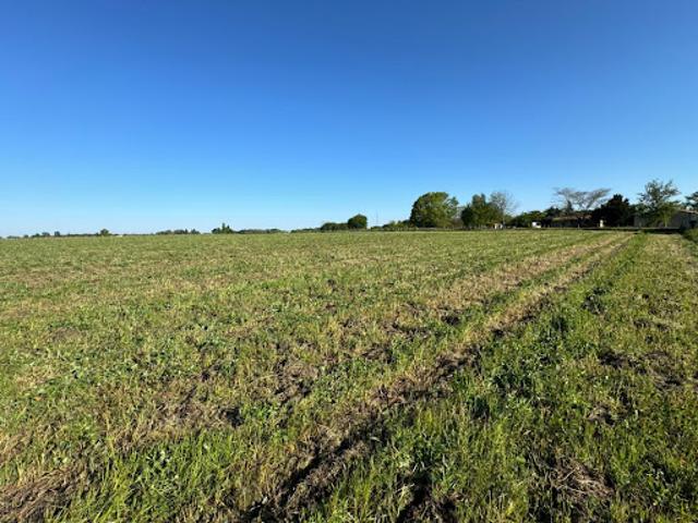 Terrain vente à France métropolitaine, Plassac