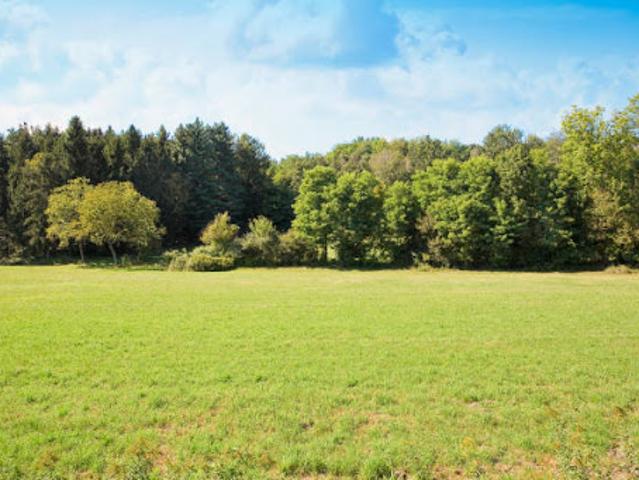 Terrain vente à Nantes, Saint-philbert-de-grand-lieu