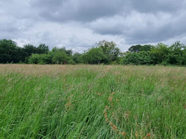Terrain vente à France métropolitaine, La Roche-sur-yon
