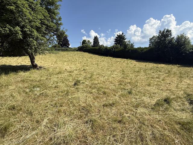Terrain vente à La Petite Bruyère, Celles-sur-Durolle