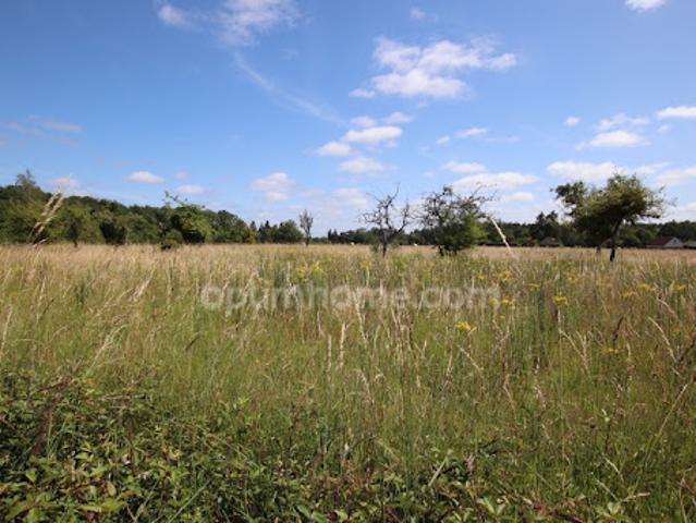 Terrain vente à Romorantin-Lanthenay, Chaumont-sur-tharonne
