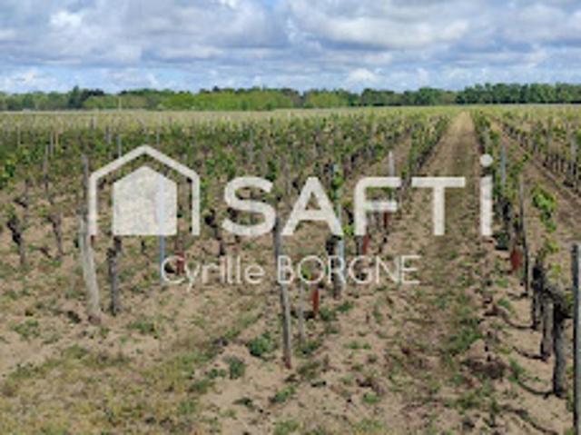 Terrain vente à Chinon, Savigny-en-véron