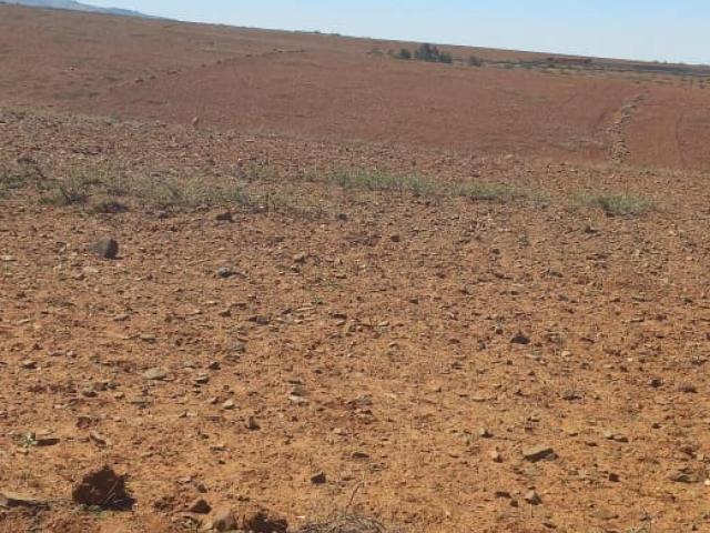 Terrain vente à Tassoultante, L'Oriental