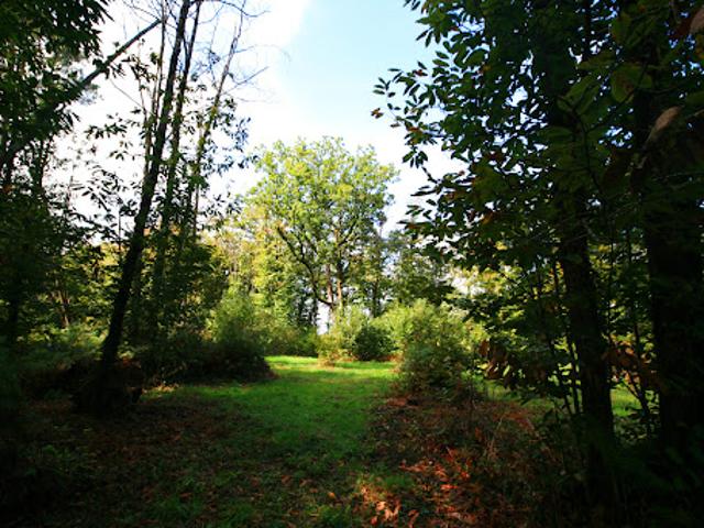 Terrain vente à La Vergne, Plazac