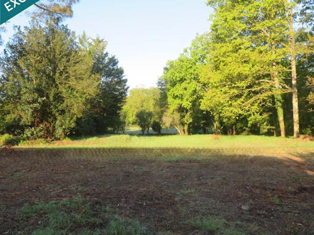 Terrain vente à Châteaubriant-Ancenis, La Grigonnais