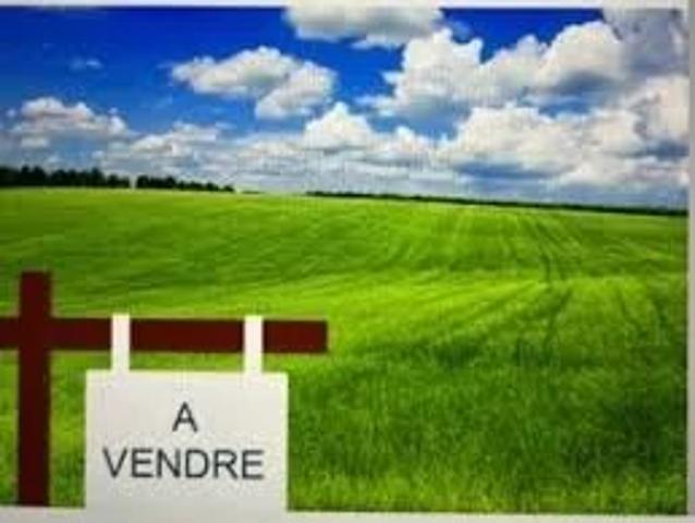 Terrain vente à Montpellier, Clapiers