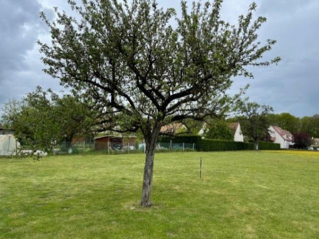 Terrain vente à Meaux, Condé-sainte-libiaire