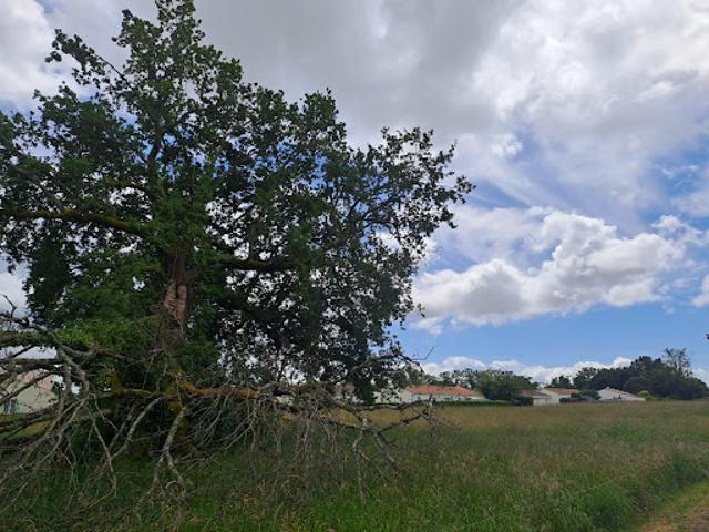 Terrain vente à France métropolitaine, Médis