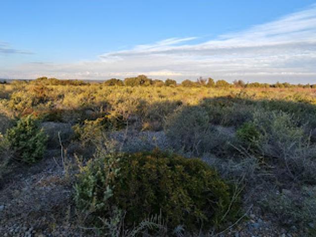 Terrain vente à Narbonne, La Palme