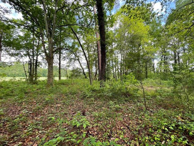 Terrain vente à Dax, Saint-geours-de-maremne