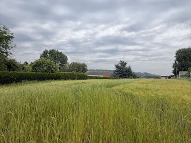 Terrain vente à Saint-Omer, Lumbres