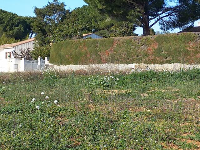 Terrain vente à Montpellier, Mauguio