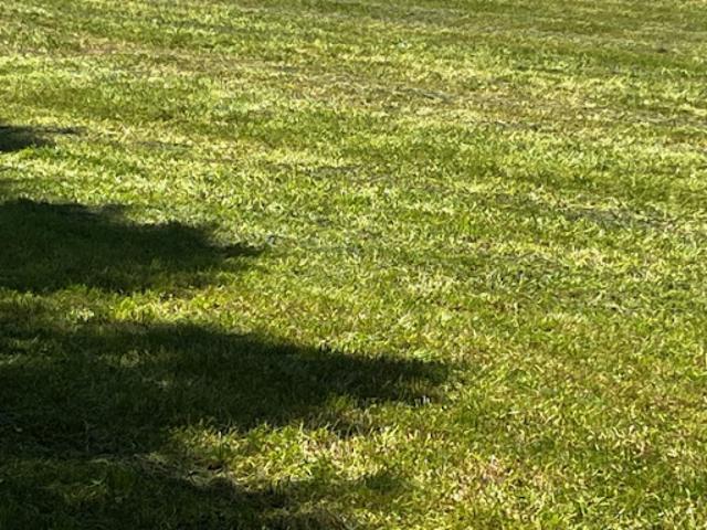 Terrain vente à France métropolitaine, Charente-Maritime