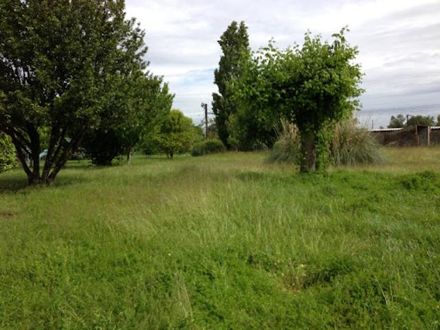 Terrain vente à Libourne, Saint-martin-du-bois