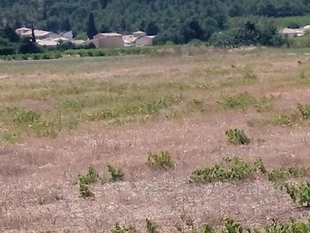 Terrain vente à Narbonne, Roquefort-des-corbières