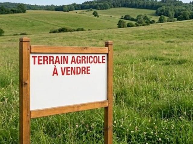 Terrain vente à La Rigaudière, Moisdon-la-Rivière