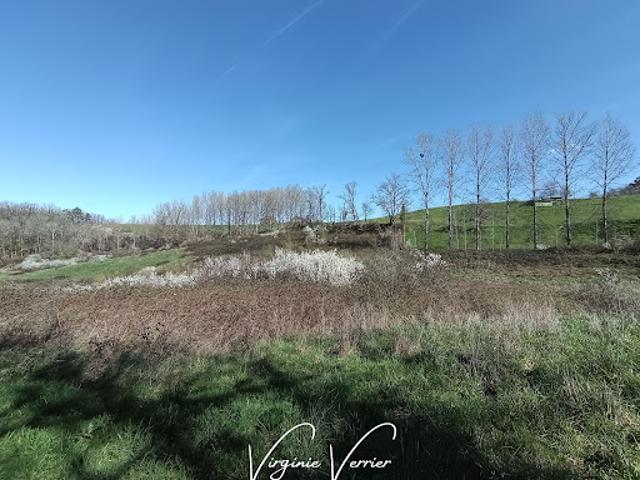 Terrain vente à Brive-la-Gaillarde, Louignac