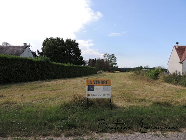 Terrain vente à Pithiviers, Vrigny