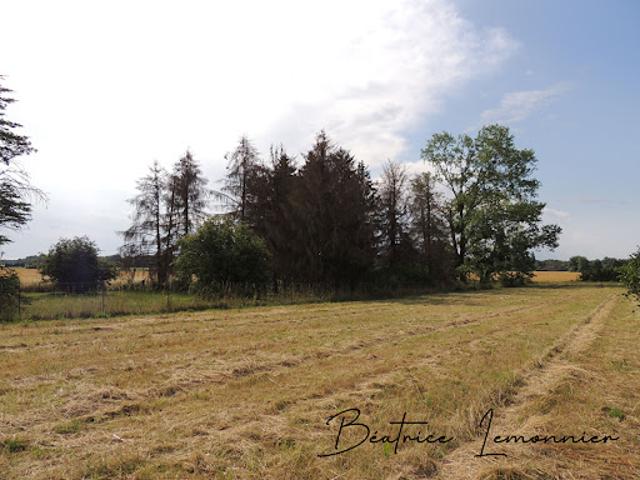 Terrain vente à Pithiviers, Vrigny