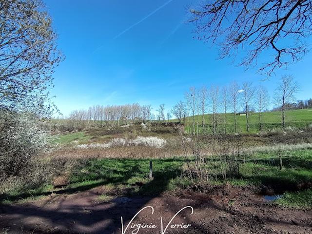 Terrain vente à Brive-la-Gaillarde, Louignac