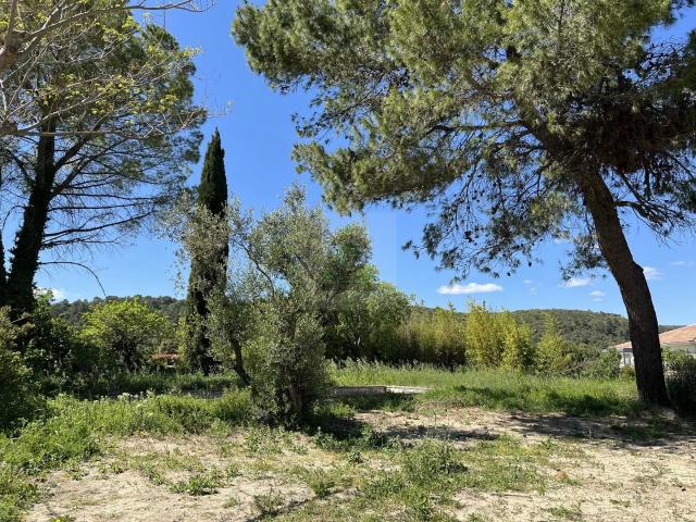 Terrain vente à Montpellier, Centre