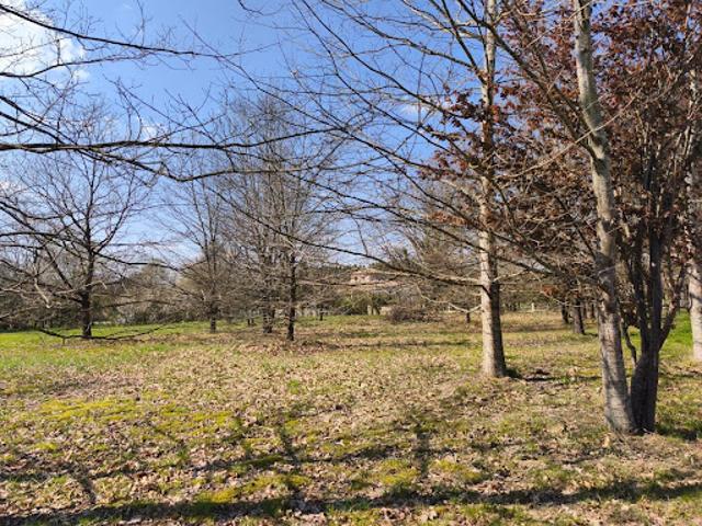 Terrain vente à Montauban, Nègrepelisse