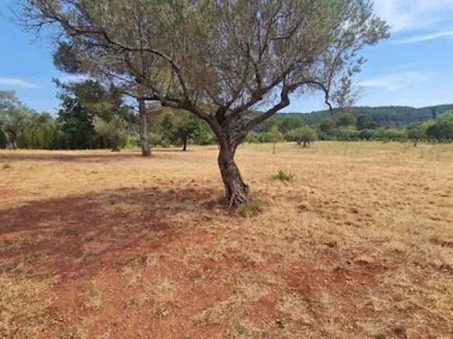 Terrain vente à Arrondissement de Toulon, Cuers