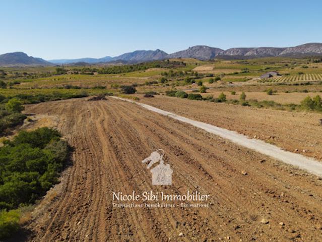 Terrain vente à Perpignan, Tautavel