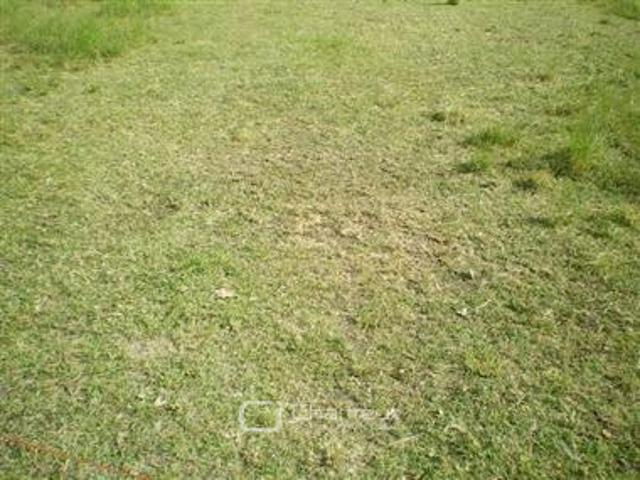 Terrain vente à Rochefort, Saint-georges-de-didonne