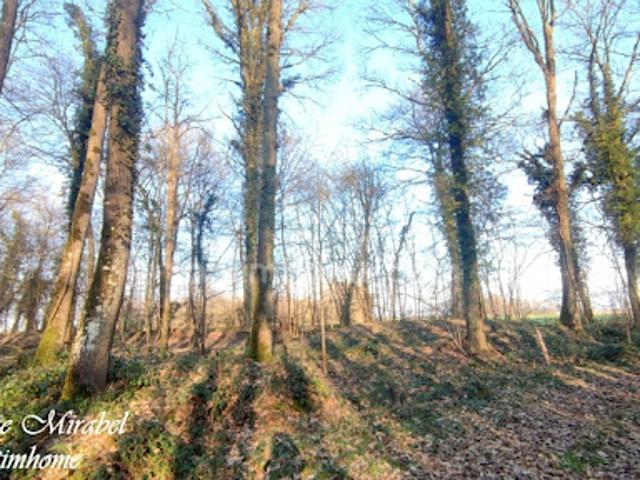 Terrain vente à Bernay, Sylvains-les-moulins