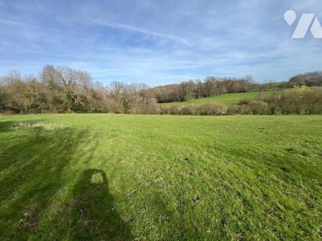 Terrain vente à Mortagne-au-Perche, Le Sap