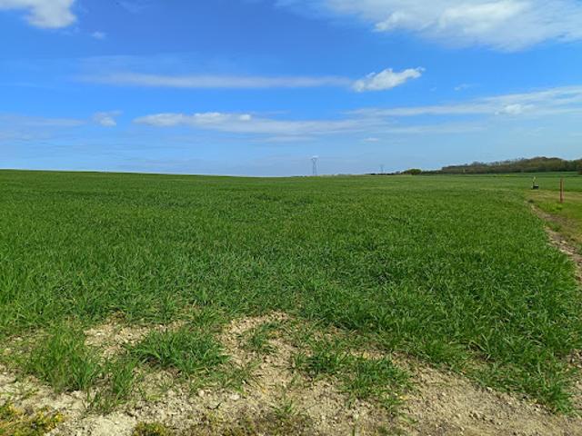 Terrain vente à Rochefort, Ciré-d'aunis