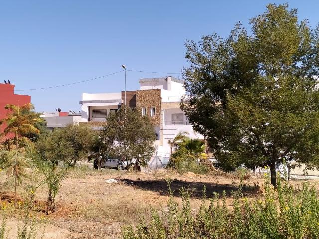 Terrain vente à Lyautey